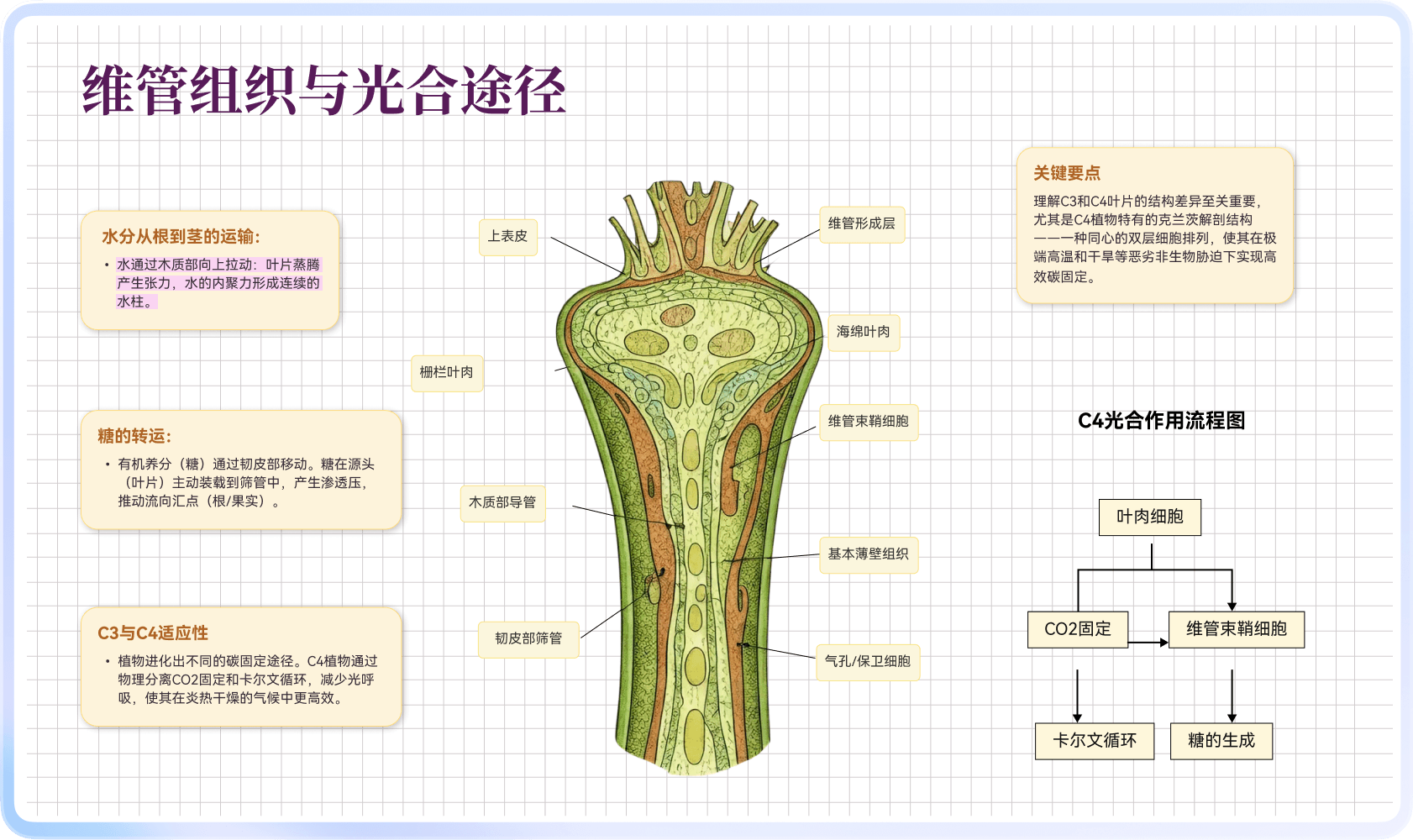软牛PDF AI智能解释
